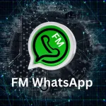 FM WhatsApp Feature Image